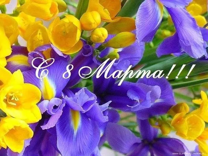 WhatsApp Image 2023-03-08 at 10.21.41