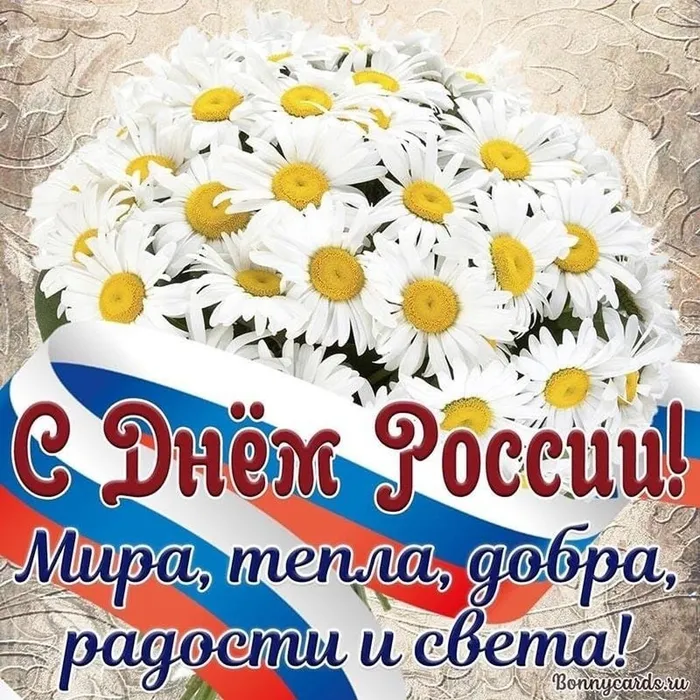 WhatsApp Image 2024-06-12 at 06.49.56