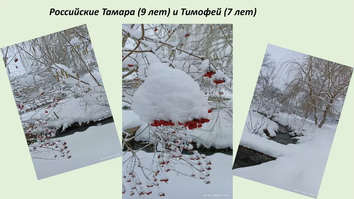 Российские