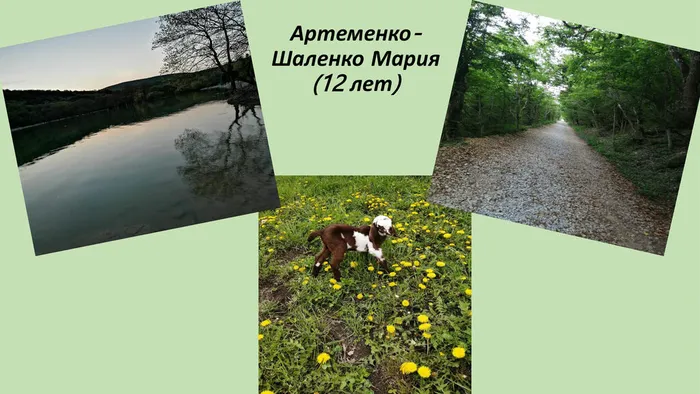 Артеменко-Шаленко