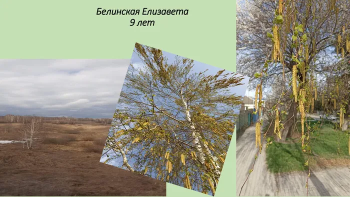 Белинская-Елизавета